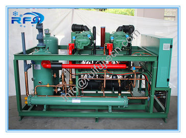 شراء اثنين برغي ضاغط برودة المكثف وحدة R404A 380 فولت 50 هرتز نموذج DM2B20RFL online manufacture
