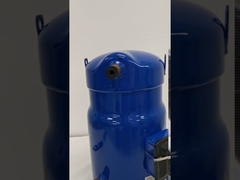 ضاغط دانفوس حلزوني SM110